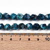 Dyed Natural Sesame Jasper Beads Strands G-T139-8mm-47H-5