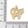 Brass Micro Pave Clear Cubic Zirconia Pendant KK-I712-59G-02-3