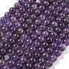 Natural Amethyst Beads Strands G-M445-8MM-01F-1