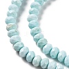 Natural Howlite Beads Strands G-H025-03C-08-4