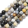 Natural Dendritic Opal Beads Strands G-R494-A23-02A-2