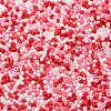 Baking Paint Glass Seed Beads X-SEED-S042-05B-46-3