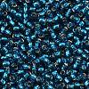 TOHO 8/0 Round Beads X-SEED-TR08-0023BD-2