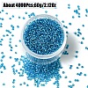 60G Glass Seed Beads SEED-YW0002-84A-1