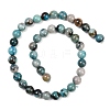 Natural Chrysocolla Beads Strands G-K405-B01-12mm-4