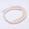 Natural Cultured Freshwater Pearl Beads Strands PEAR-P002-55-2