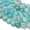 Natural Amazonite Beads Strands GG-D001-B01-4