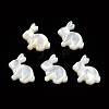 Natural White Shelll Beads SSHEL-N032-60-2