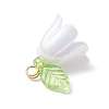 5Pcs Transparent Acrylic Pendants PALLOY-JF04703-01-5