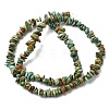 Natural HuBei Turquoise Bead Strands G-H345-A01-04-3