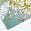 CHGCRAFT 5 Strands Natural Freshwater Shell Beads Strands SHEL-CA0001-09-4