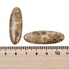 Natural Fossil Coral Pendants G-B187-01C-02-3
