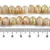 Handmade Lampwork Beads Strands LAMP-T007-13J-4