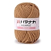 4-Ply Polyester & Acrylic Fiber Yarn for Tufting Gun Rugs PW-WG2A0C2-17-1-1