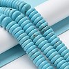 Natural Howlite Beads Strands G-E604-G01-B-4