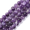 Gemstone Beads Strands G-S024-2