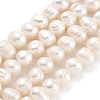 Natural Cultured Freshwater Pearl Beads Strands PEAR-C003-01C-1