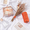 100M Jute Rope OCOR-SP0001-23B-3