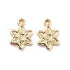 Rack Plating Brass Charms KK-D083-21G-2