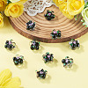 10Pcs Handmade Lampwork Beads LAMP-TADJ0001-01I-5