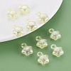 Transparent Crackle Acrylic Pendants LS-MACR-S373-63-L06-7