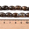 Natural Tibetan Agate 3-Eye Beads Strands G-T138-195A-5