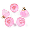 Transparent Spray Painted Glass Charms GLAA-N035-031-C09-2