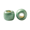 TOHO 11/0 Round Beads X-SEED-TR11-PF0560F-3