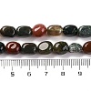 Natural Indian Agate Beads Strands G-G146-A32-01-5