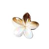 Resin Claw Hair Clips PW-WG93676-05-1