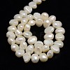 Natural Cultured Freshwater Pearl Beads Strands PEAR-L001-C-01-3