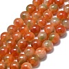 Natural Malaysia Jade Beads Strands G-L645-C01-10mm-29-1