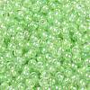 6/0 Glass Seed Beads SEED-T006-04F-06-3
