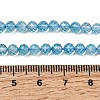 Natural & Dyed Blue Topaz Beads Strands G-B088-C05-04-4