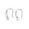 Tarnish Resistant 304 Stainless Steel Earring Hooks STAS-S057-60-1