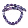 Natural Weathered Agate Beads Strands G-NH0047-B04-02-3