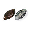 Natural Crackle Agate Cabochons G-T125-07D-2
