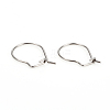 Non-Tarnish 304 Stainless Steel Hoop Earrings STAS-I149-11P-3