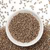 TOHO 8/0 Round Beads X-SEED-TR08-0989-2