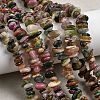 Natural Multicolor Tourmaline Chips Beads Strands F082-01-1