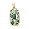 Natural Paua Shell Brass Pendants KK-C264-04G-1