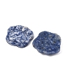 Natural Blue Spot Jasper Carved Cabochons G-I395-A06-2