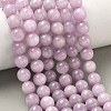 Natural Kunzite Beads Strands G-D856-03-8mm-7
