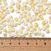 Baking Paint Glass Seed Beads X1-SEED-F006-01A-01-4