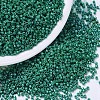 MIYUKI Delica Beads SEED-X0054-DB0656-1