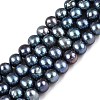 Natural Cultured Freshwater Pearl Beads Strands PEAR-N013-08H-2