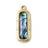 Paua Shell Pendants SSHEL-B145-01C-G-1