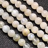 Natural White Moonstone Beads Strands G-G549-6mm-01-1
