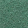 TOHO Round Seed Beads SEED-TR11-0561F-2