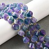 Natural Quartz Dyed Beads Strands G-U023-A02-16-1